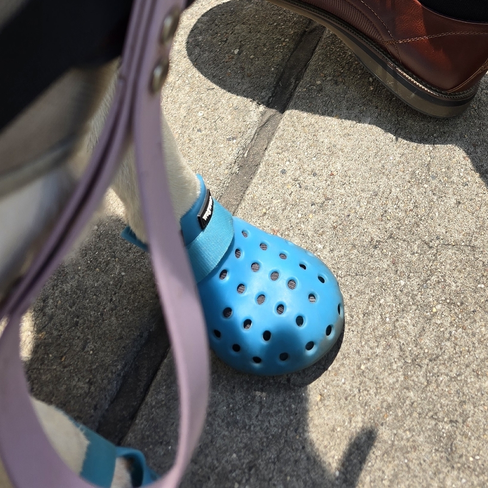 CROCS for dogs!! WAGWELLIES MOJAVE